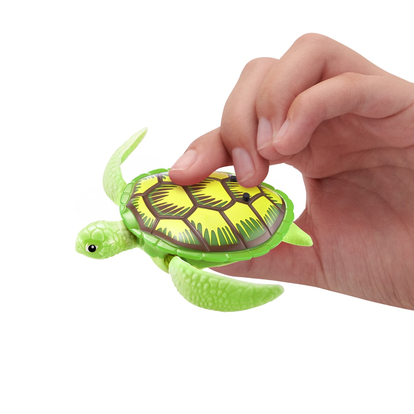 Turtle Tech Twins – Water-Activated Robot Toys (Set of 2)