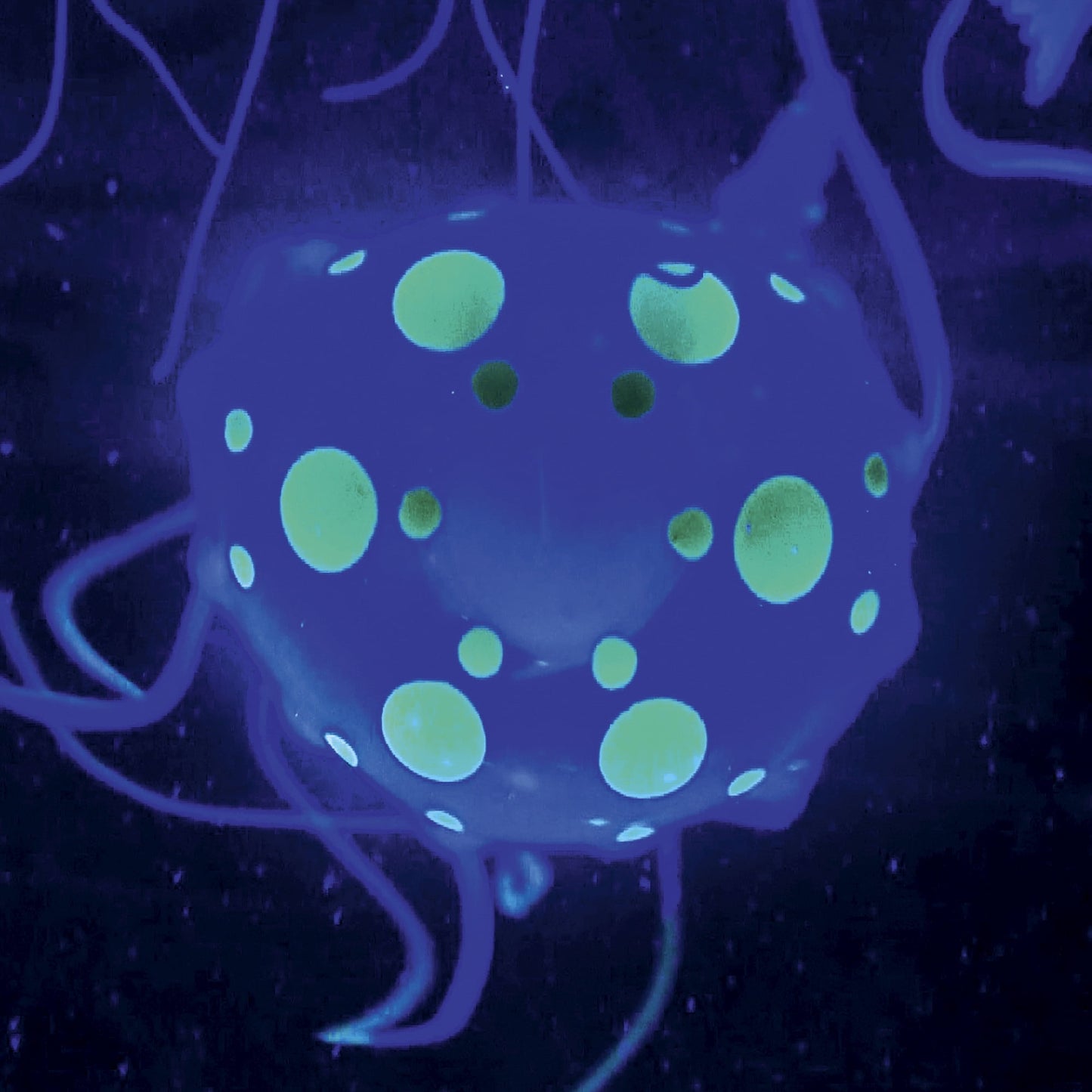 Glow & Flow: 12" Jellyfish Lamp with Color-Morphing Magic for Young Minds