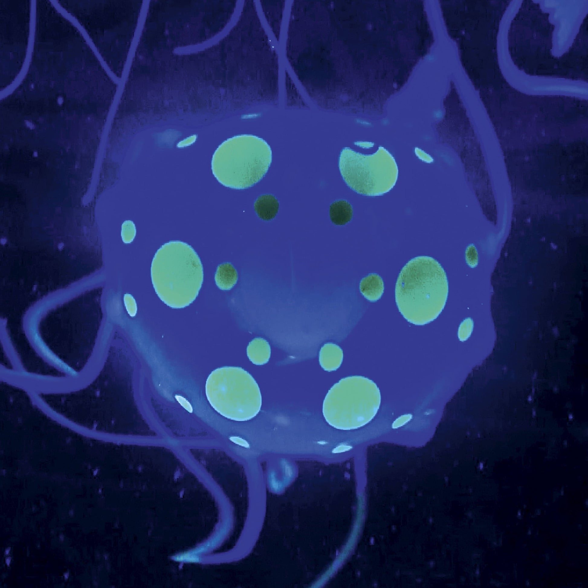 Glow & Flow: 12" Jellyfish Lamp with Color-Morphing Magic for Young Minds